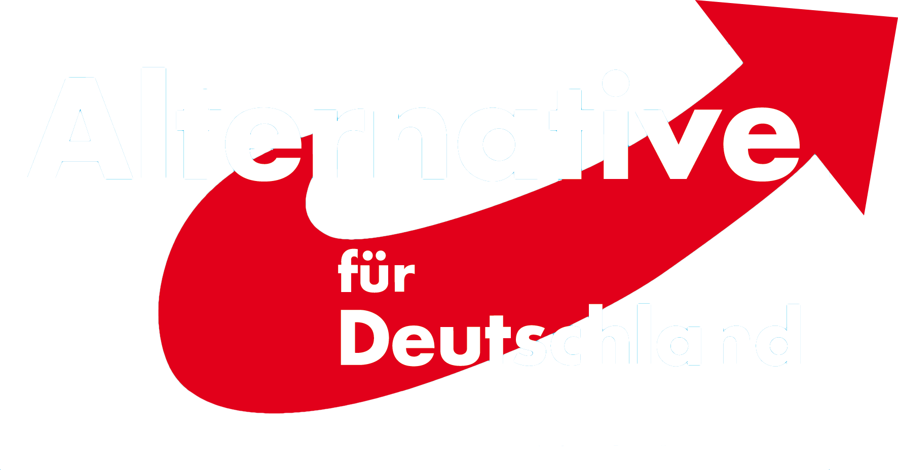 AfD im Karlsruher Gemeinderat – Es gibt immer eine Alternative